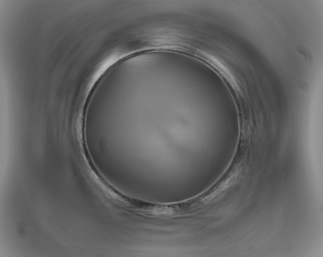 X0000112471291200908241225