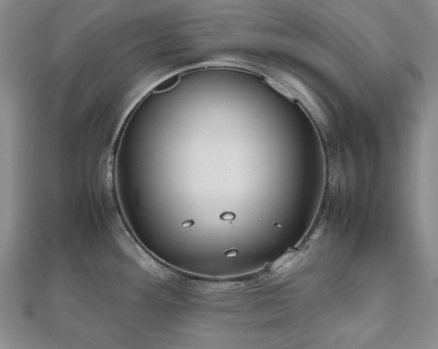 X0000112471292200908241225