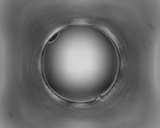 X0000112471293200908241225