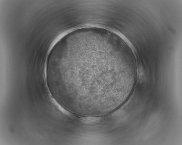 X0000112471294200908241225