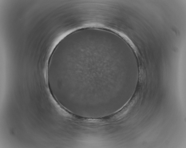 X0000112471295200908241225