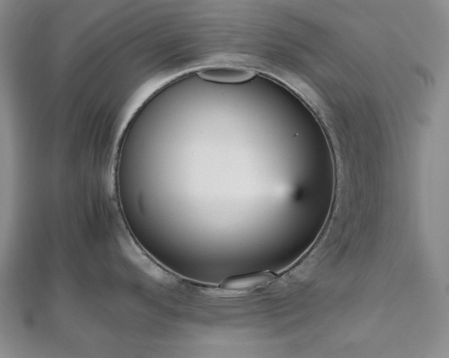 X0000112471296200908241225