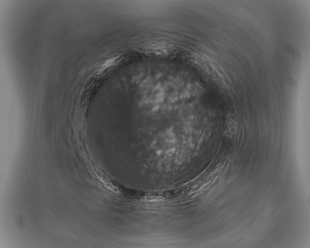 X0000112471297200908241224