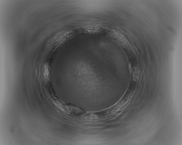 X0000112471298200908241224