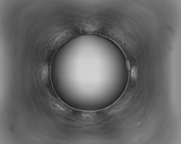 X0000112471299200908241224