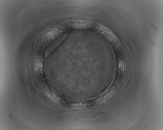 X0000112471300200908241224