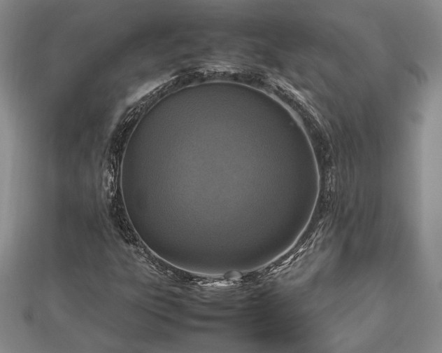 X0000112471303200908241224