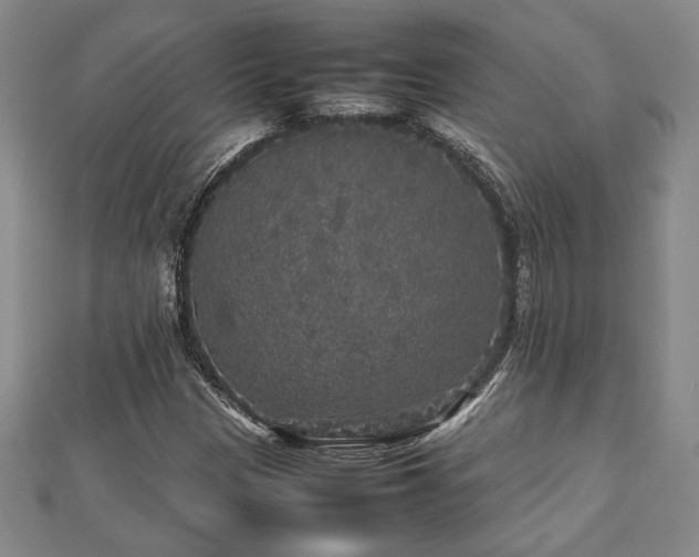 X0000112471305200908241224