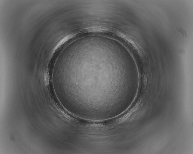 X0000112471306200908241224