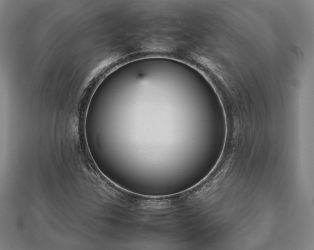 X0000112471307200908241224