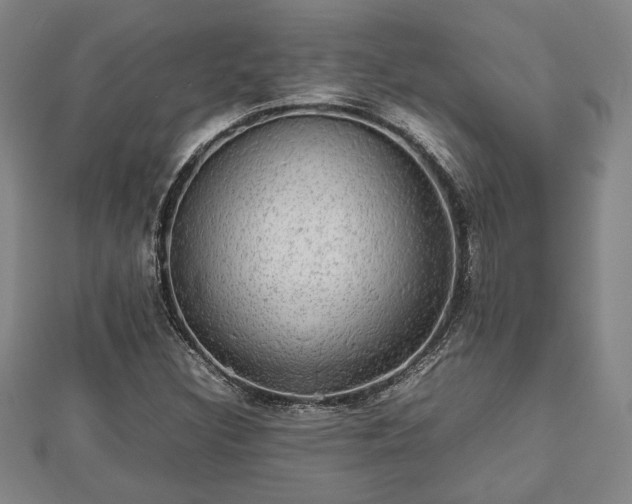 X0000112471308200908241224