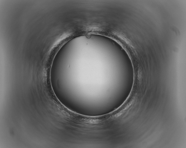 X0000112471309200908241224