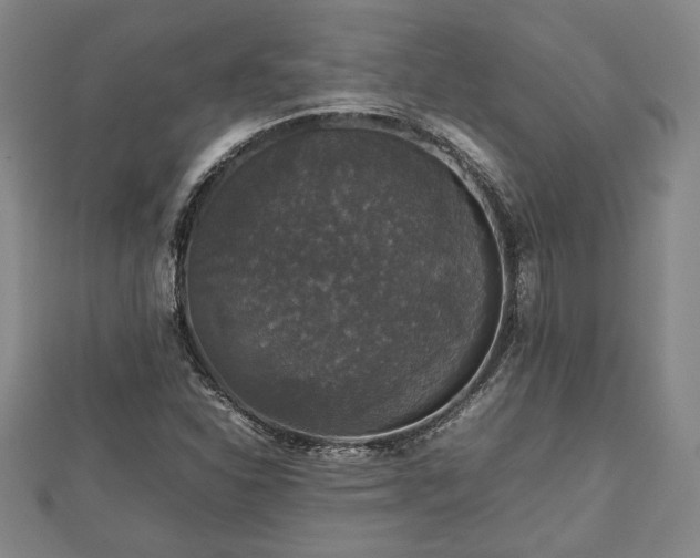 X0000112471310200908241224