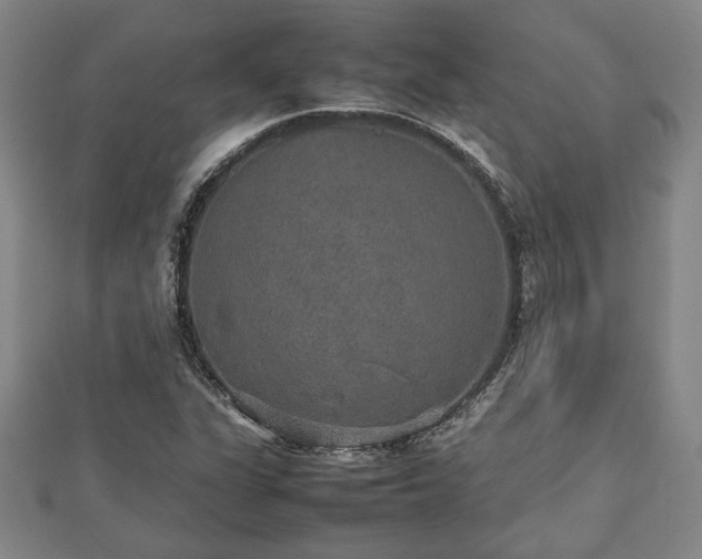 X0000112471311200908241224