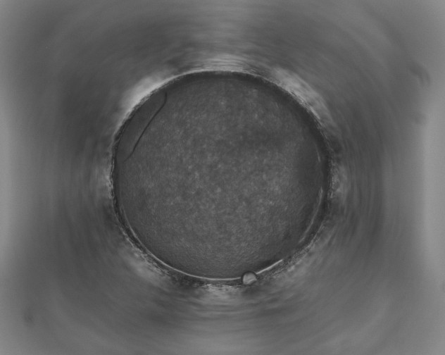 X0000112471312200908241224