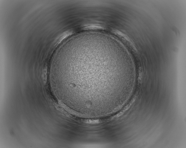 X0000112471313200908241224