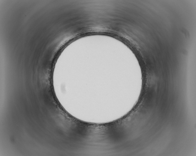 X0000112471314200908241224