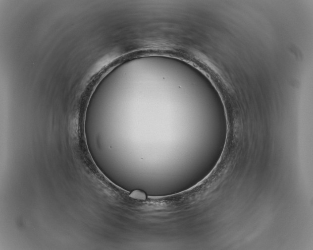 X0000112471315200908241224