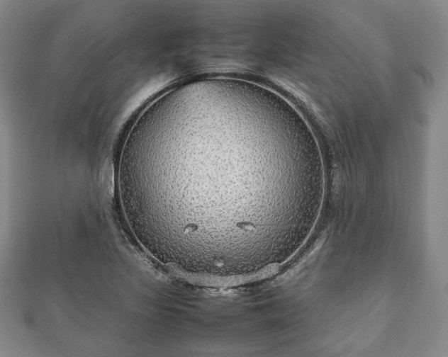 X0000112471317200908241224