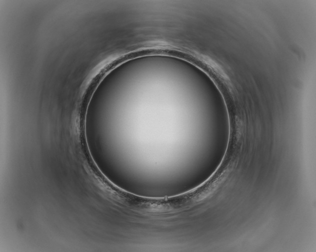 X0000112471318200908241224