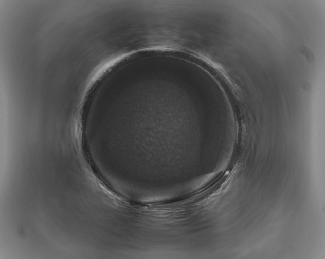 X0000112471319200908241224