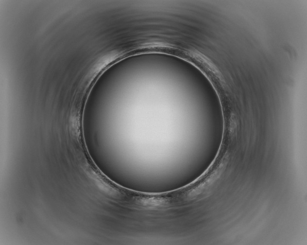 X0000112471321200908241224