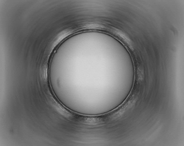 X0000112471322200908241224