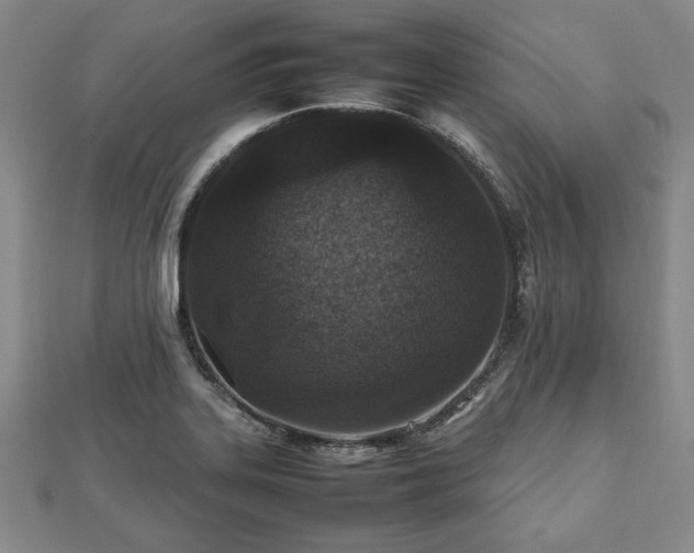 X0000112471323200908241225