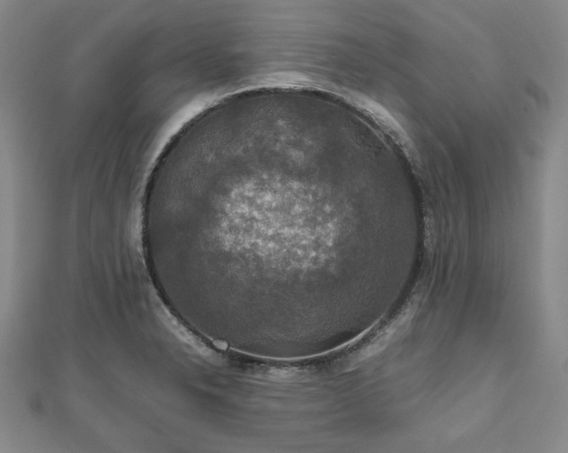 X0000112471326200908241225