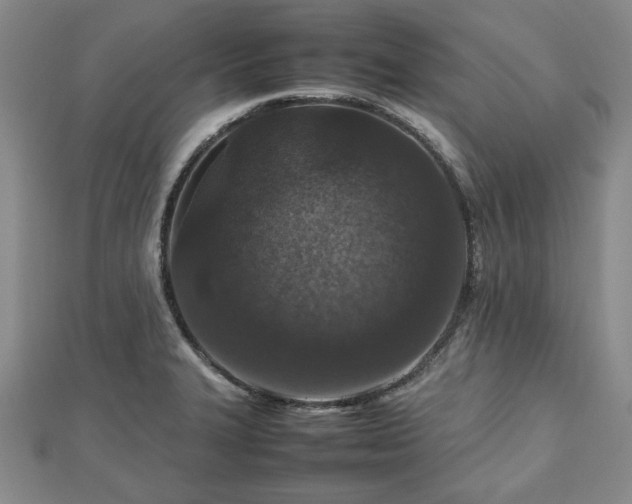 X0000112471327200908241225