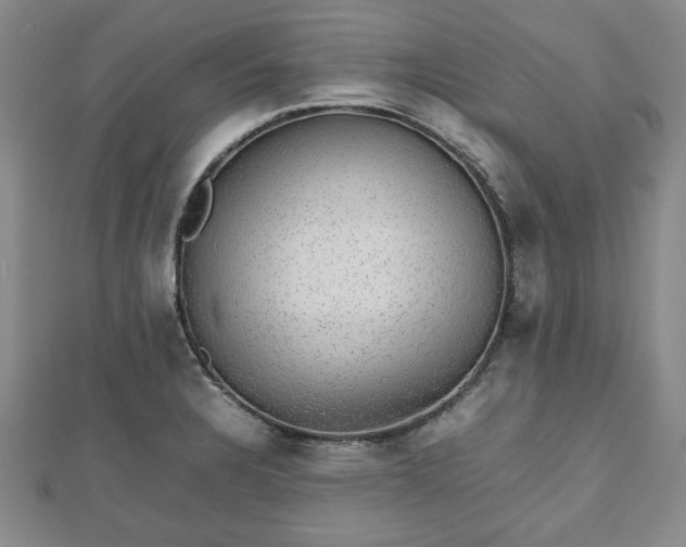 X0000112471328200908241225