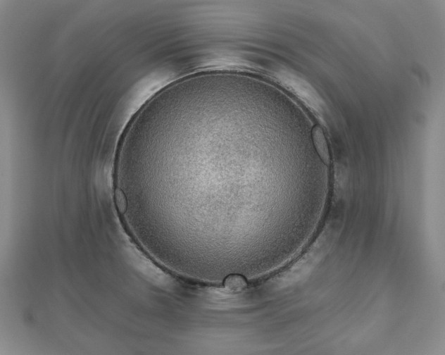 X0000112471330200908241225