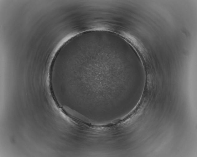 X0000112471331200908241225