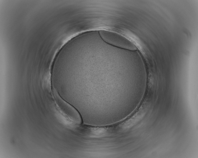 X0000112471332200908241225