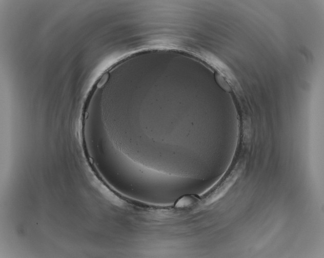 X0000112471334200908241225