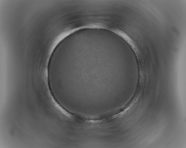 X0000112471335200908241225