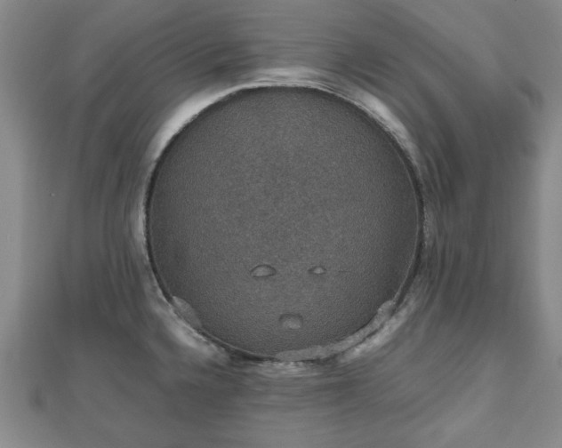 X0000112471336200908241225