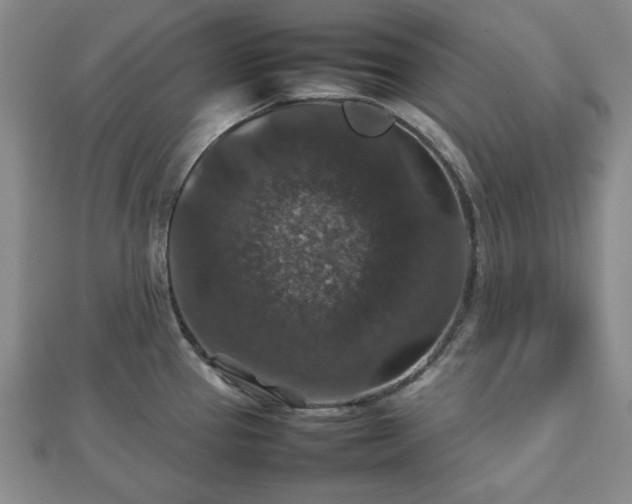 X0000112471337200908241225