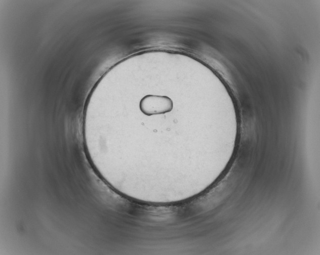 X0000112471338200908241225