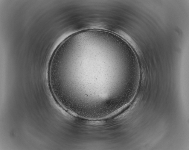 X0000112471339200908241225