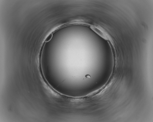 X0000112471341200908241225