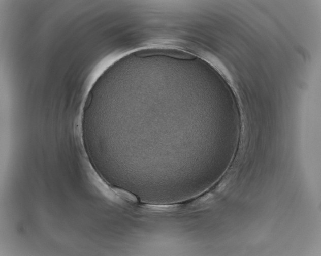 X0000112471344200908241225