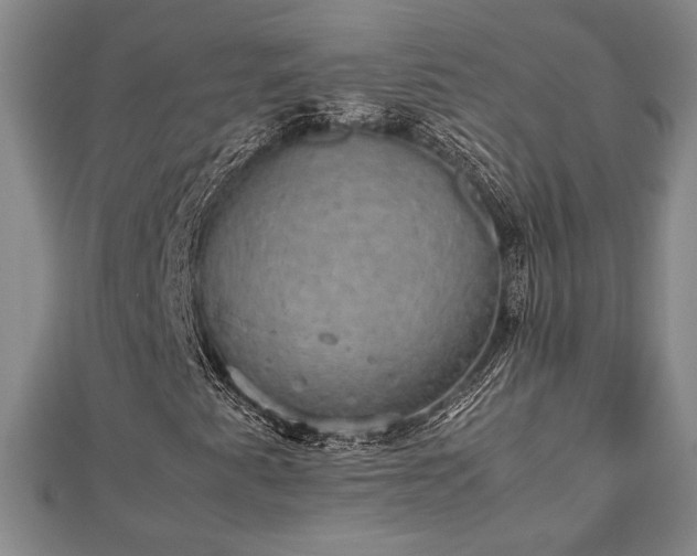 X0000112471345200908241224