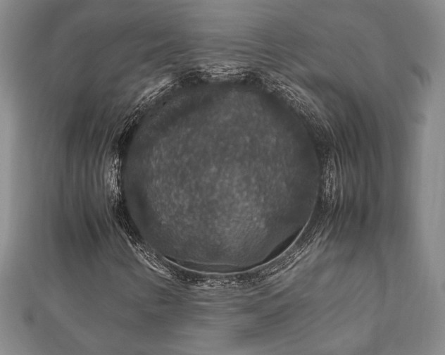 X0000112471346200908241224