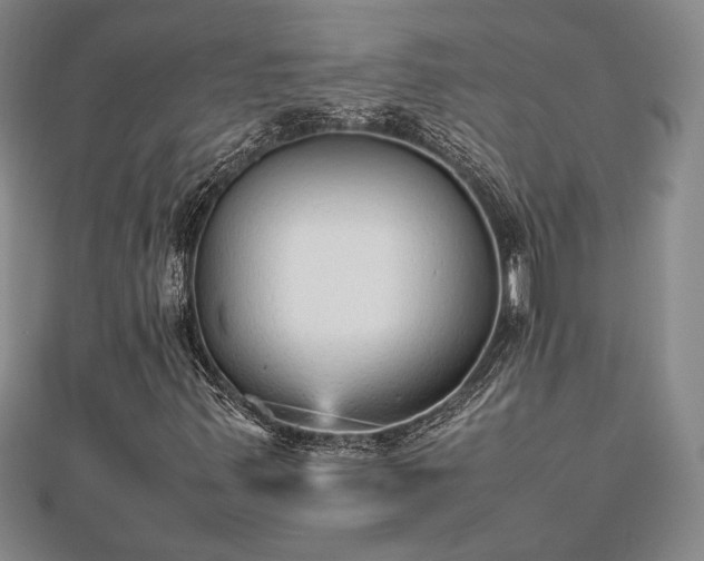 X0000112471347200908241224