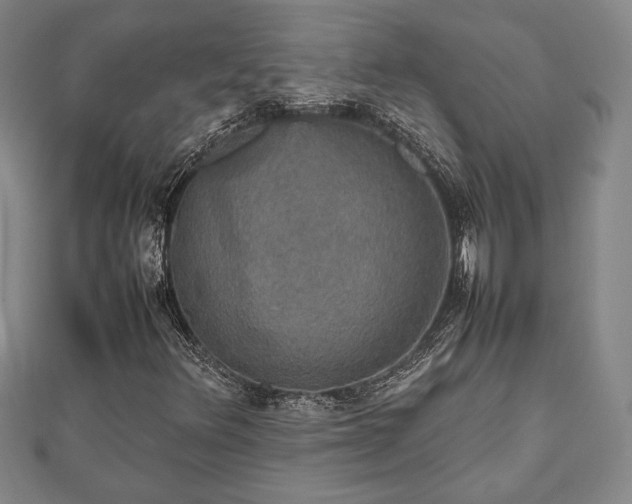 X0000112471348200908241224