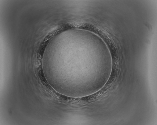 X0000112471349200908241224