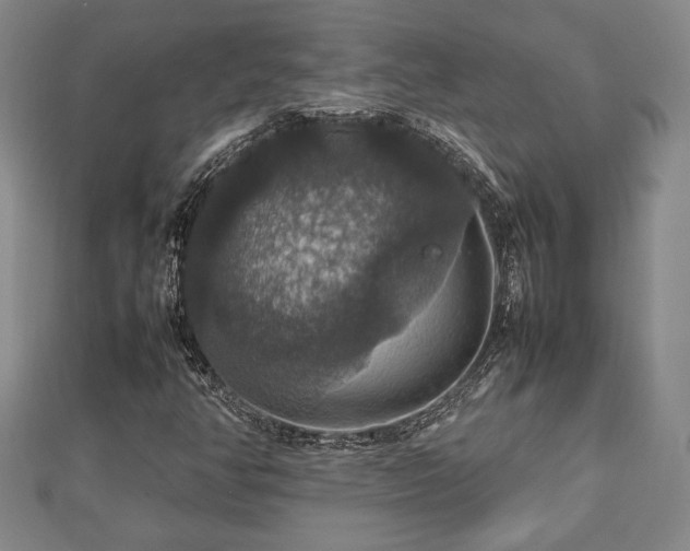 X0000112471350200908241224