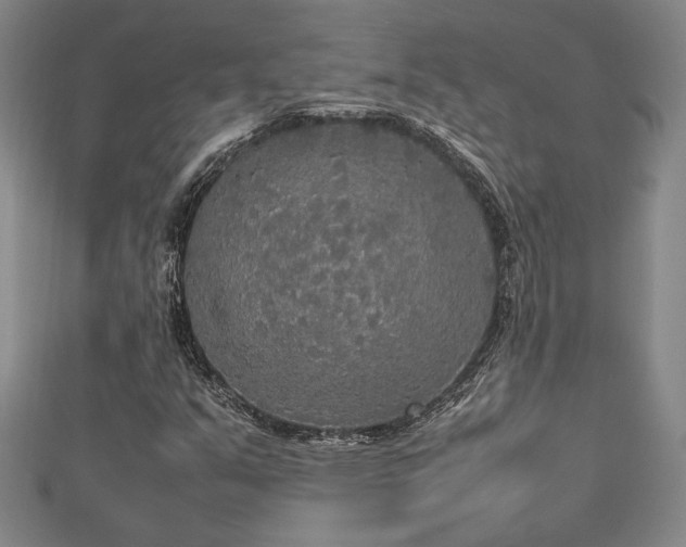 X0000112471351200908241224