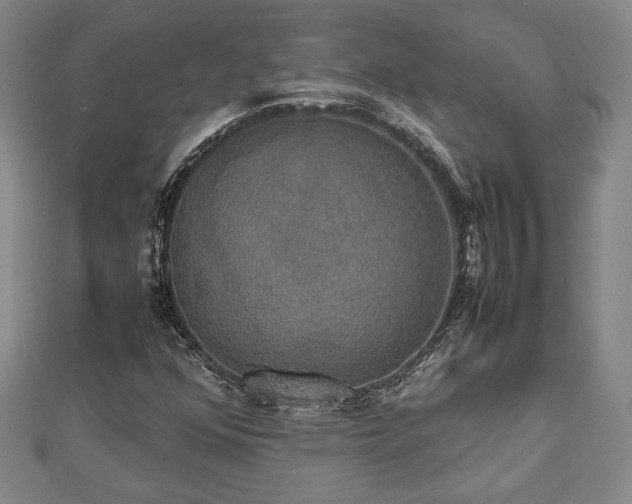 X0000112471352200908241224